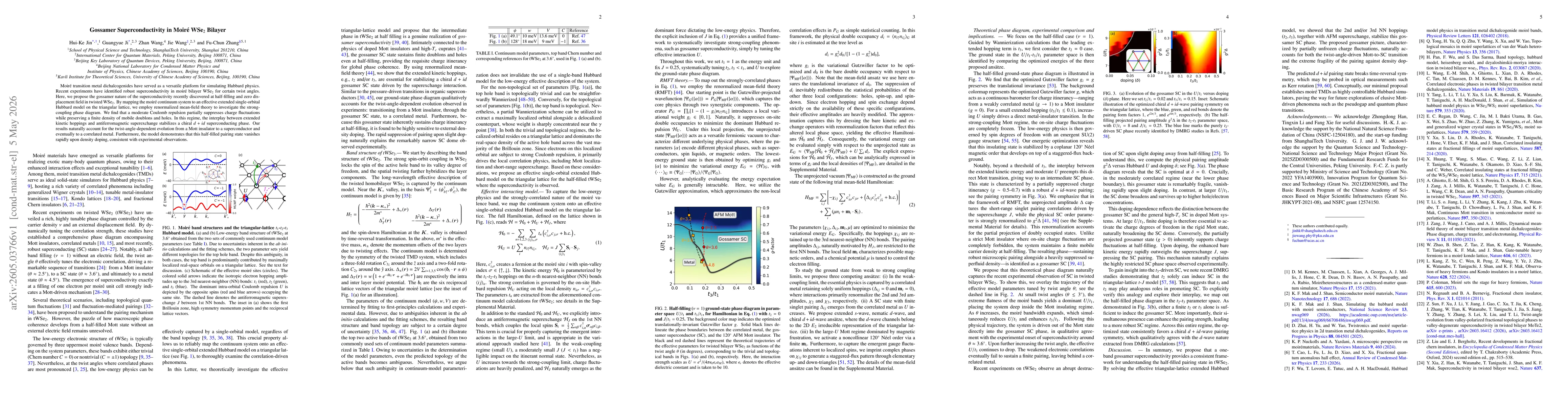 Thumbnail for Gossamer Superconductivity in Moiré WSe$_2$ Bilayer