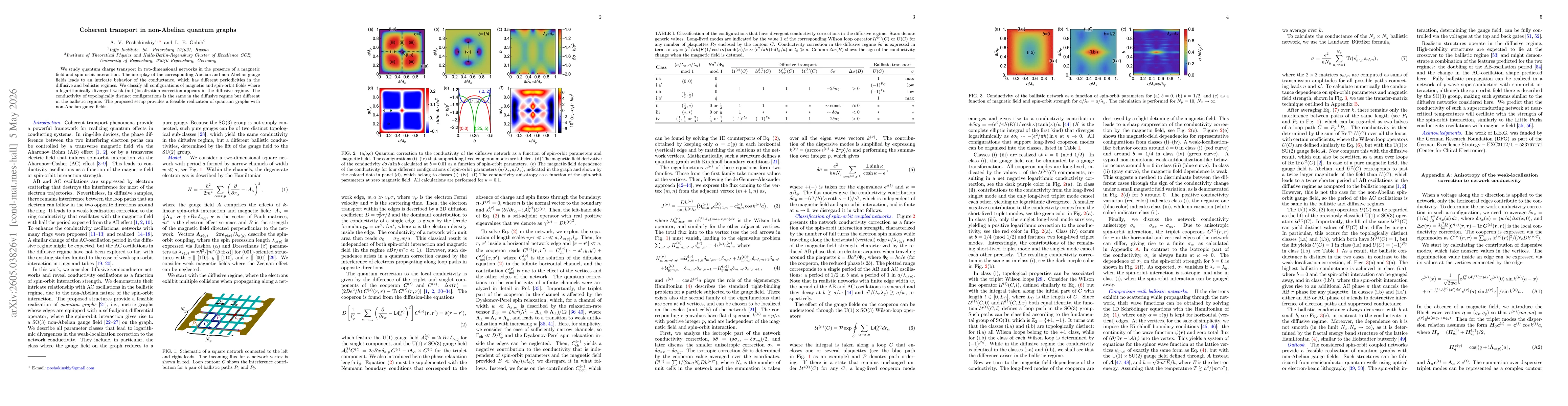 Thumbnail for Coherent transport in non-Abelian quantum graphs