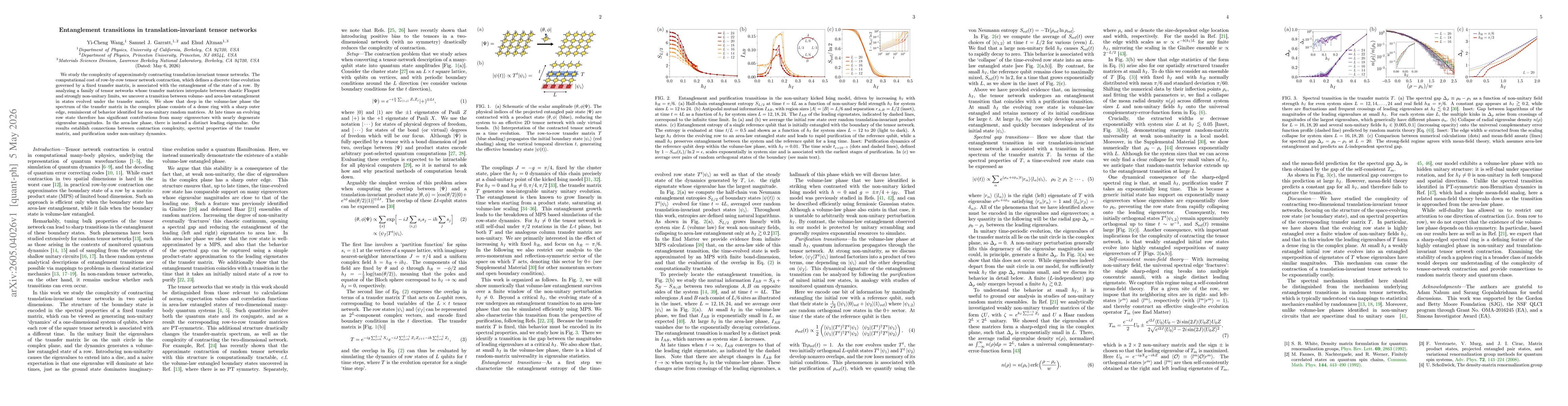 Thumbnail for Entanglement transitions in translation-invariant tensor networks