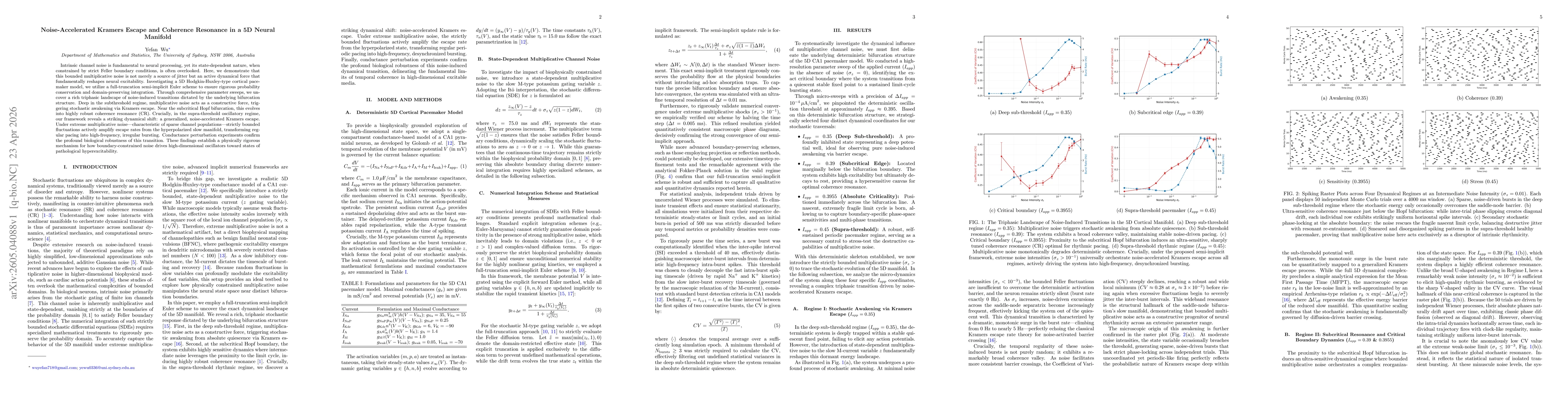 Thumbnail for Noise-Accelerated Kramers Escape and Coherence Resonance in a 5D Neural Manifold