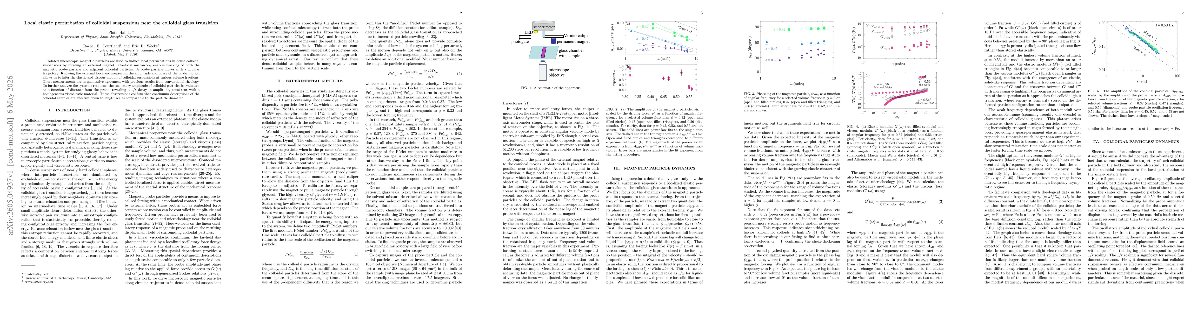 Thumbnail for Local elastic perturbation of colloidal suspensions near the colloidal glass transition