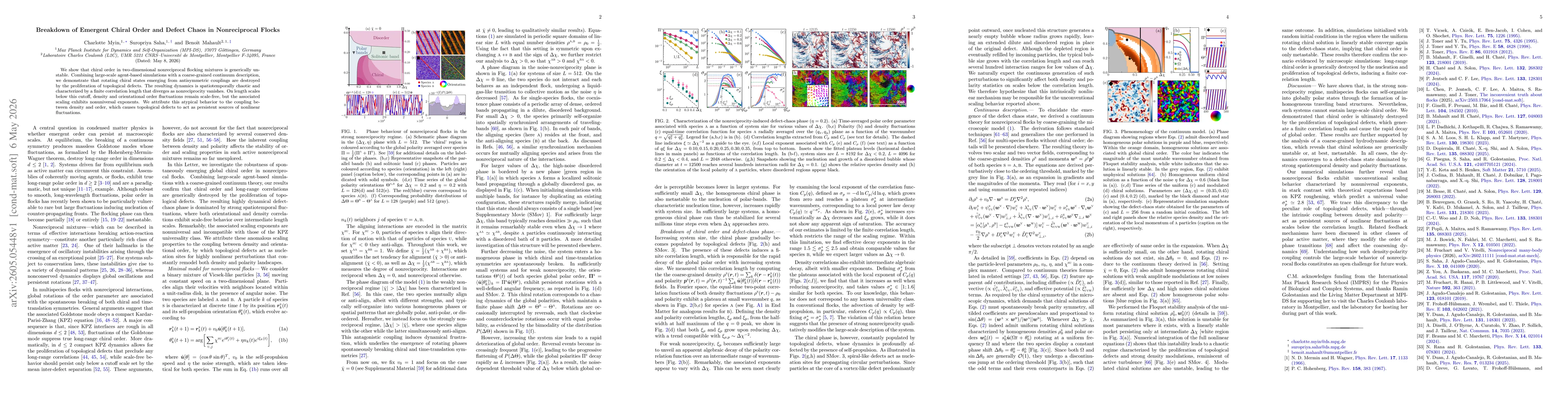 Thumbnail for Breakdown of Emergent Chiral Order and Defect Chaos in Nonreciprocal Flocks