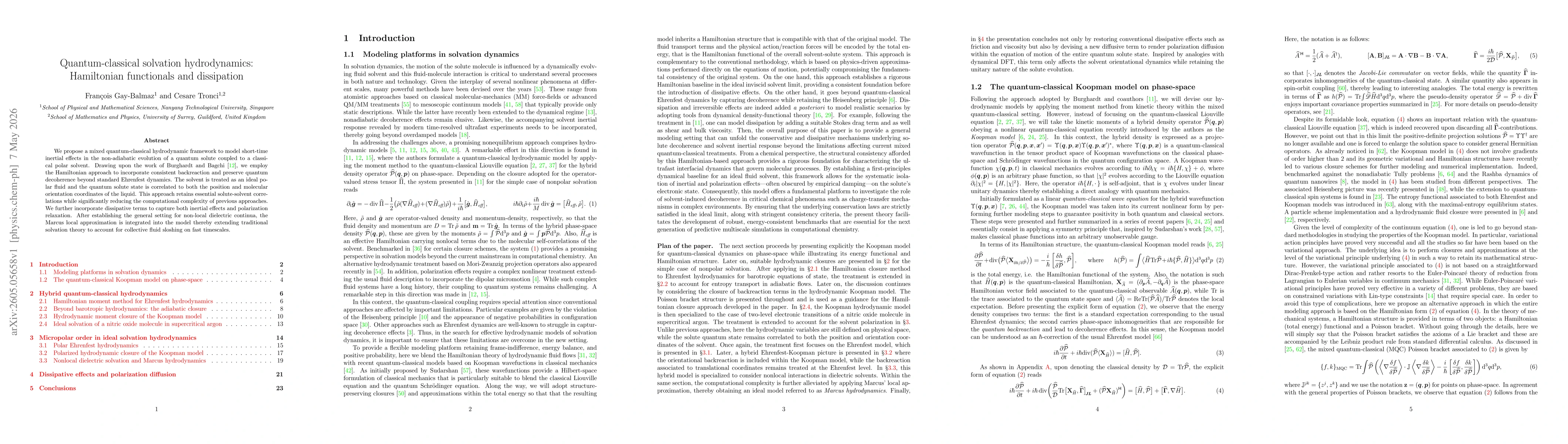 Thumbnail for Quantum-classical solvation hydrodynamics: Hamiltonian functionals and dissipation