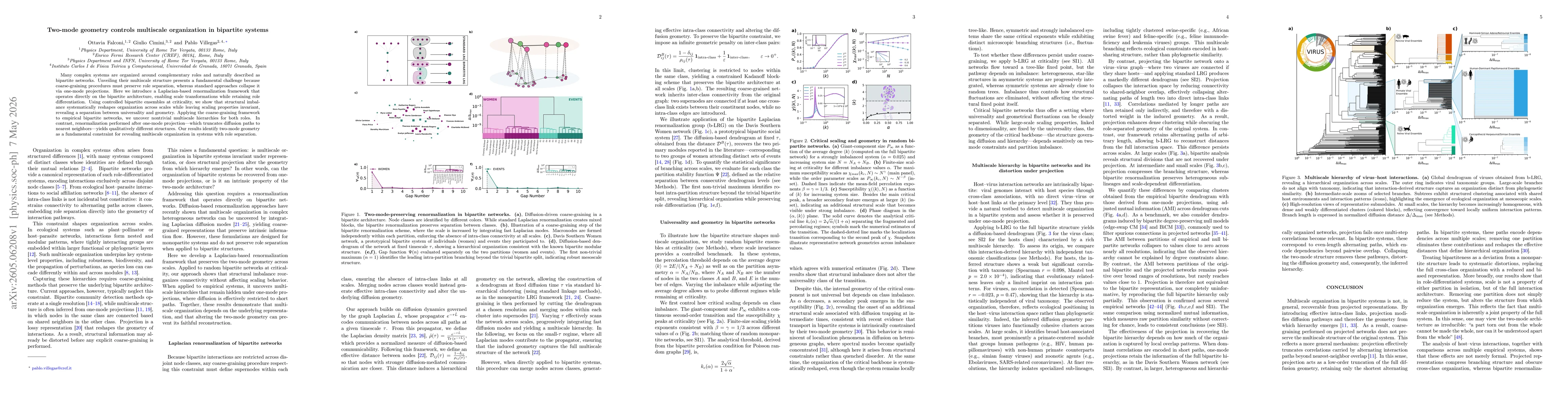 Thumbnail for Two-mode geometry controls multiscale organization in bipartite systems