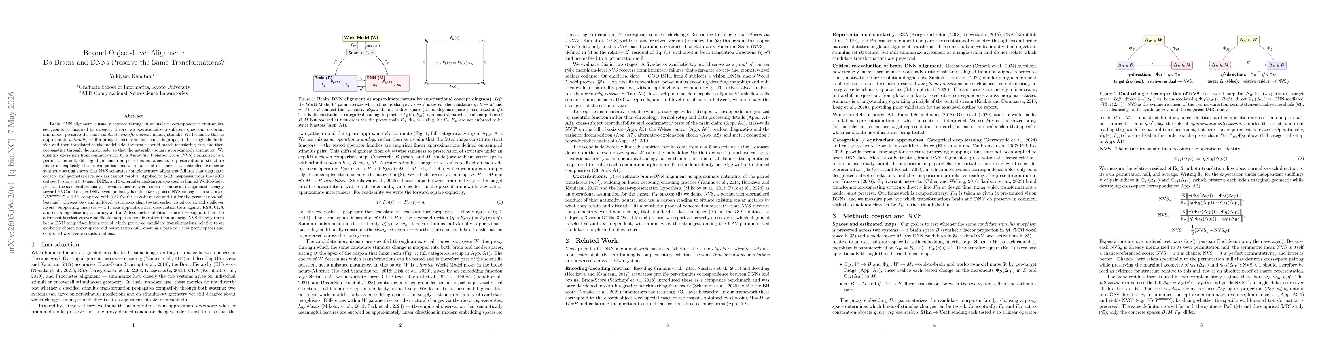 Thumbnail for Beyond Object-Level Alignment: Do Brains and DNNs Preserve the Same Transformations?