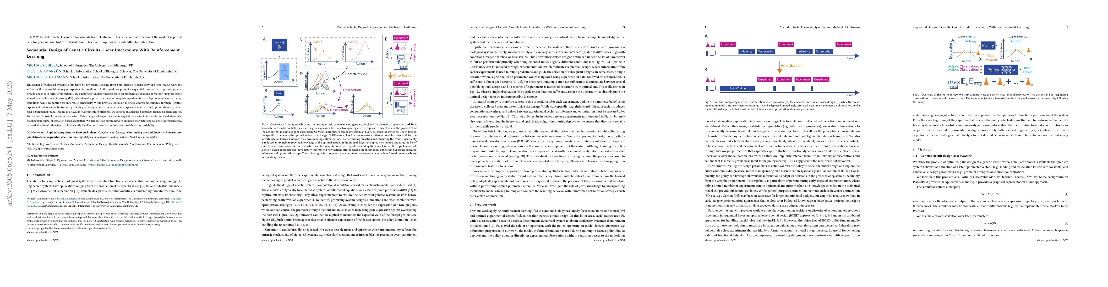 Thumbnail for Sequential Design of Genetic Circuits Under Uncertainty With Reinforcement Learning