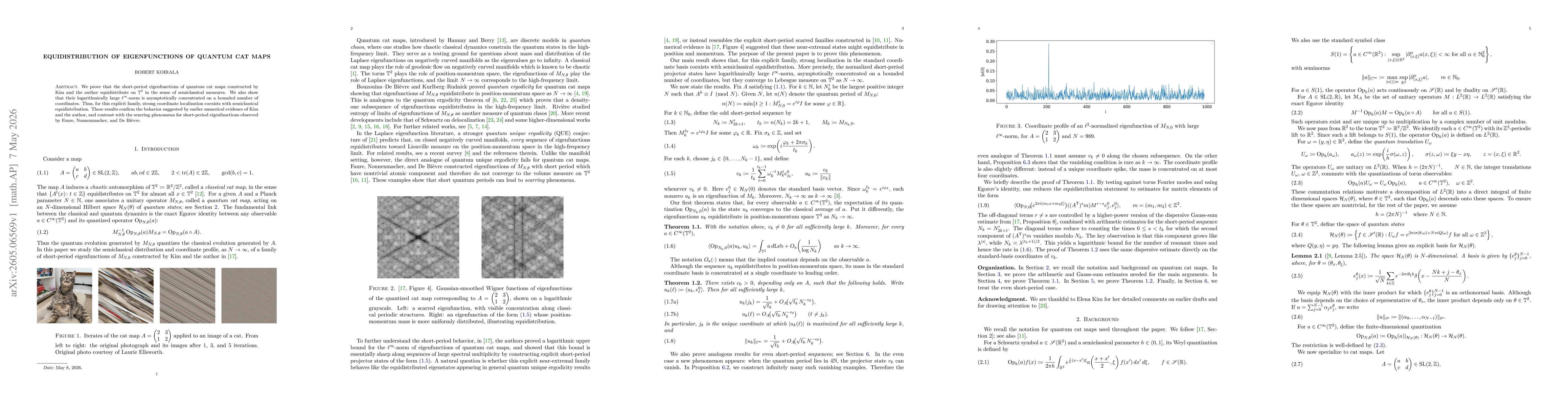 Thumbnail for Equidistribution of Eigenfunctions of Quantum Cat Maps