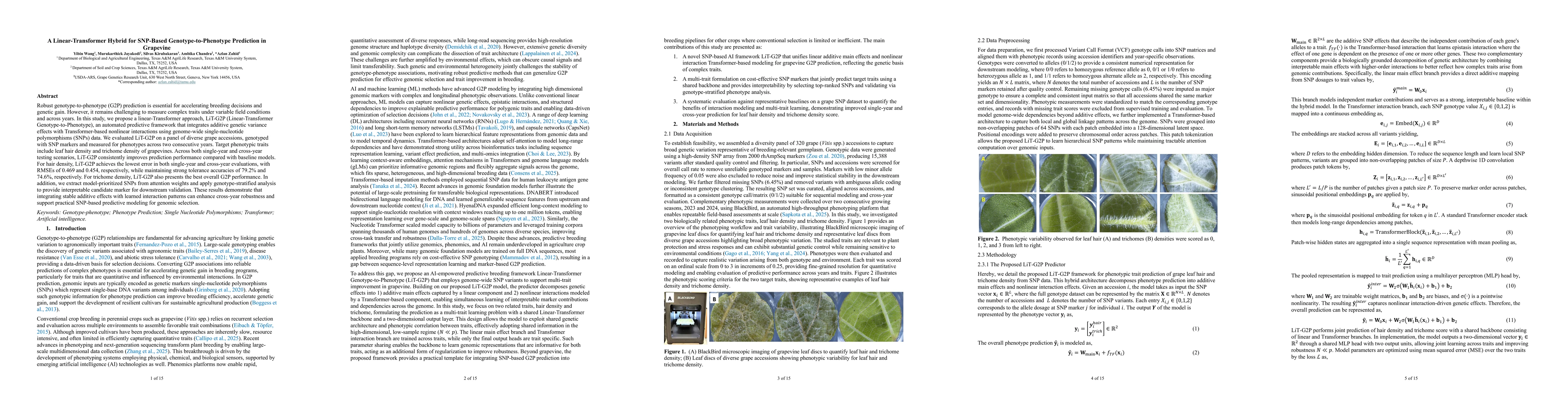 Thumbnail for A Linear-Transformer Hybrid for SNP-Based Genotype-to-Phenotype Prediction in Grapevine