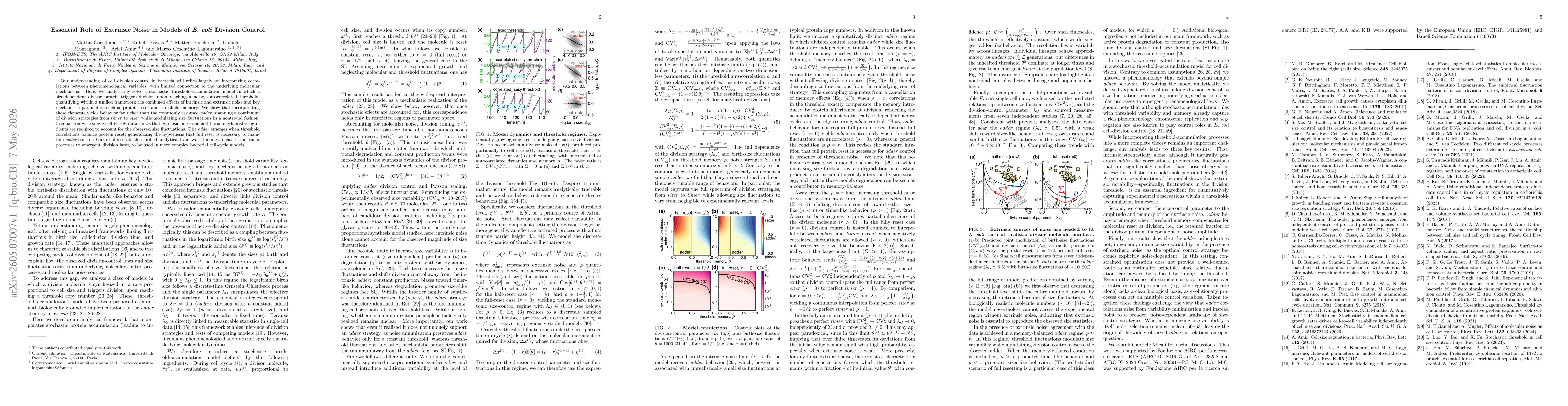 Thumbnail for Essential Role of Extrinsic Noise in Models of E. coli Division Control