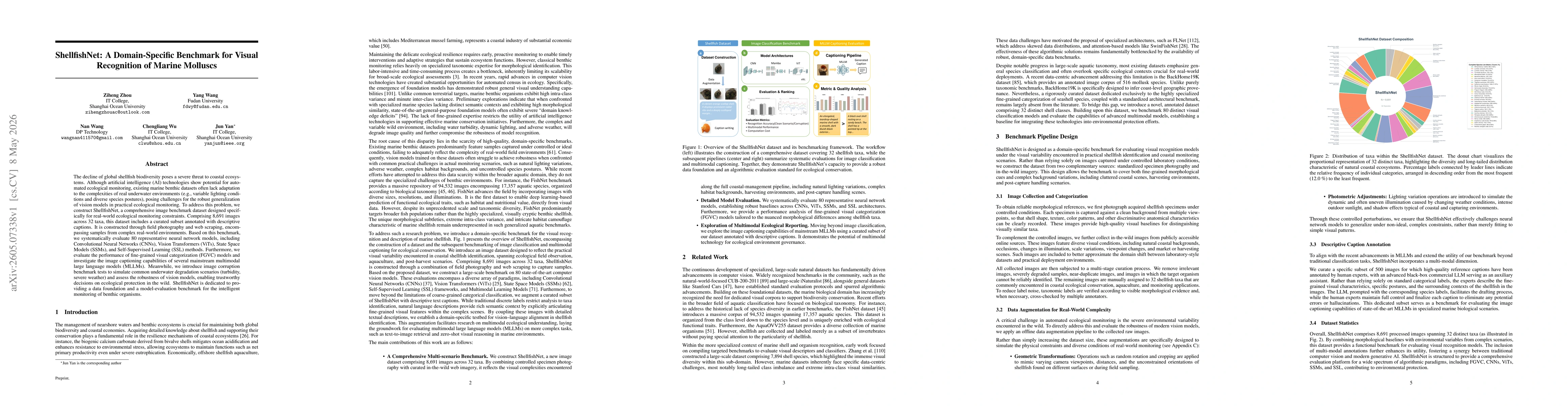 Thumbnail for ShellfishNet: A Domain-Specific Benchmark for Visual Recognition of Marine Molluscs