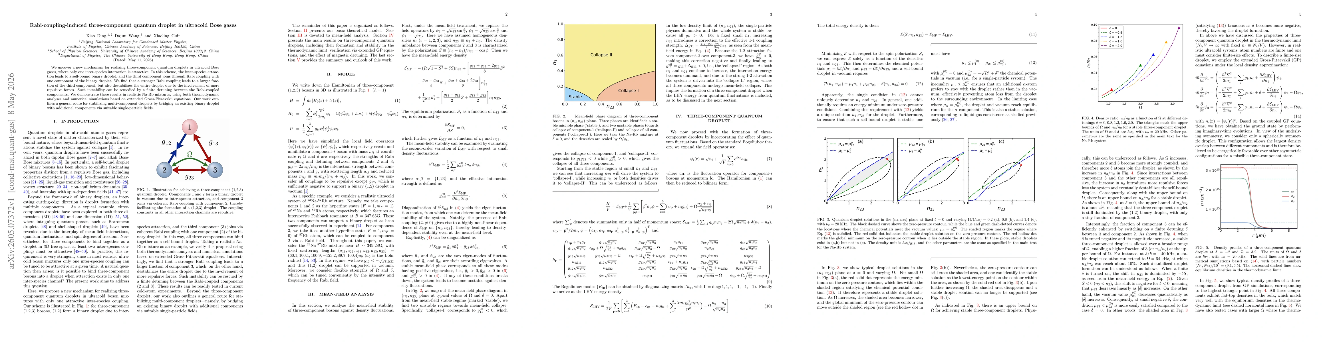 Thumbnail for Rabi-coupling-induced three-component quantum droplet in ultracold Bose gases