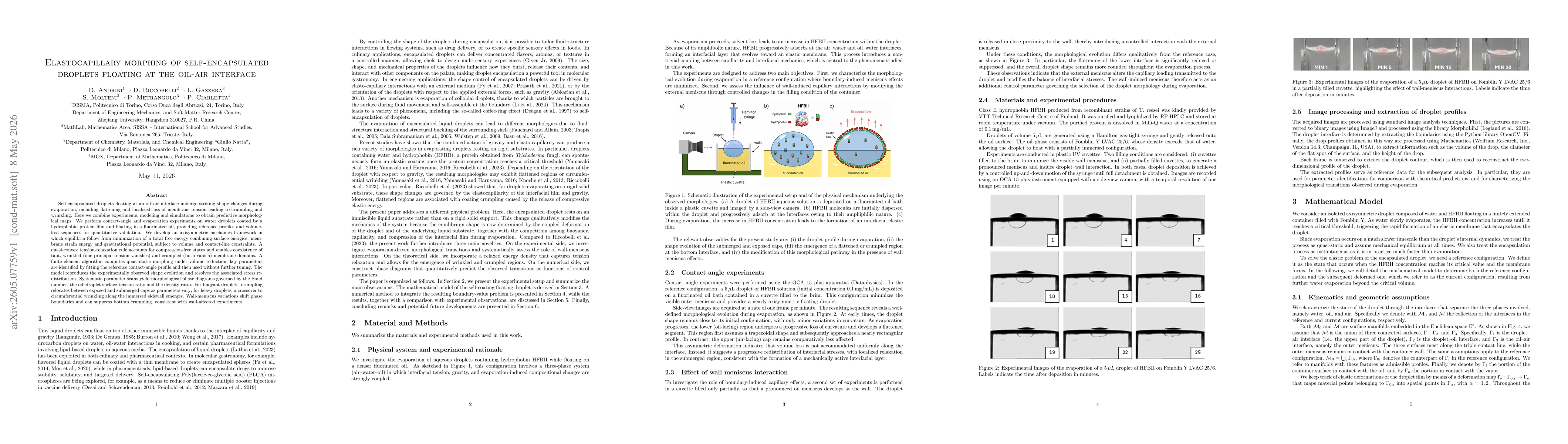 Thumbnail for Elastocapillary morphing of self-encapsulated droplets floating at the oil-air interface