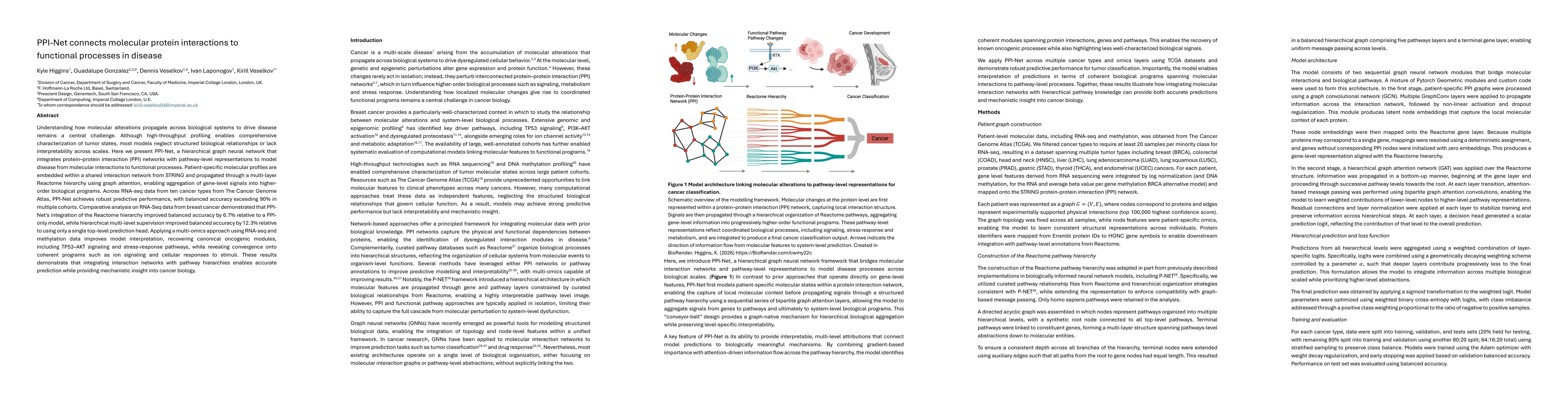 Thumbnail for PPI-Net connects molecular protein interactions to functional processes in disease