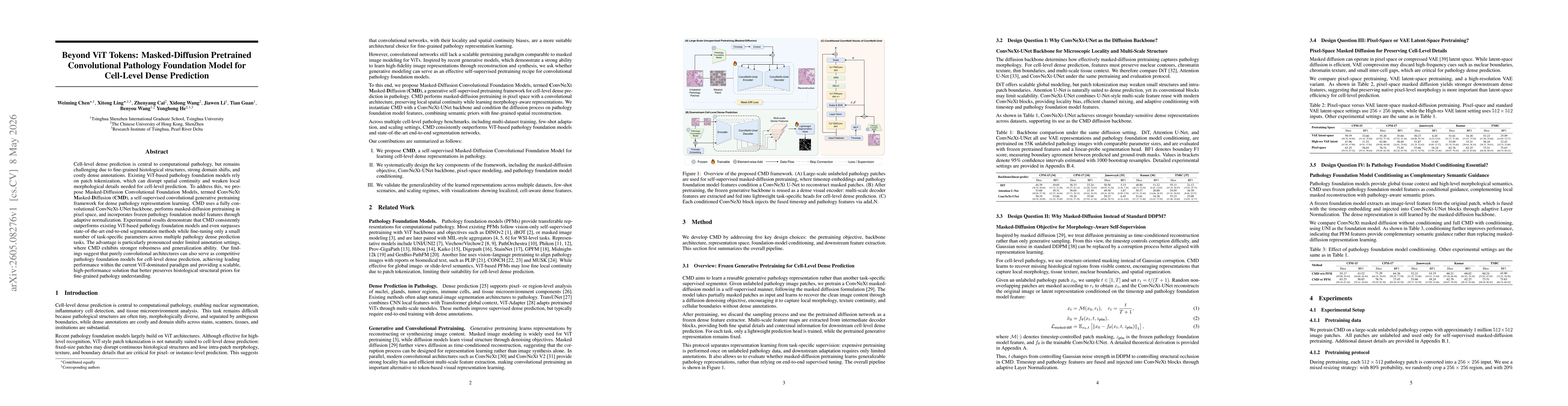 Thumbnail for Beyond ViT Tokens: Masked-Diffusion Pretrained Convolutional Pathology Foundation Model for Cell-Level Dense Prediction