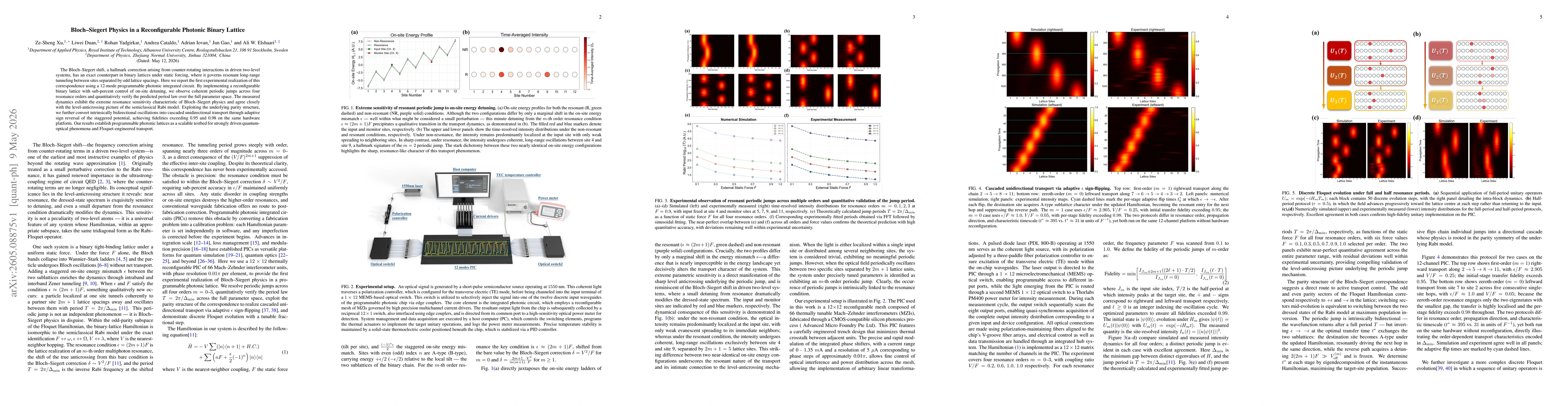 Thumbnail for Bloch Siegert Physics in a Reconfigurable Photonic Binary Lattice