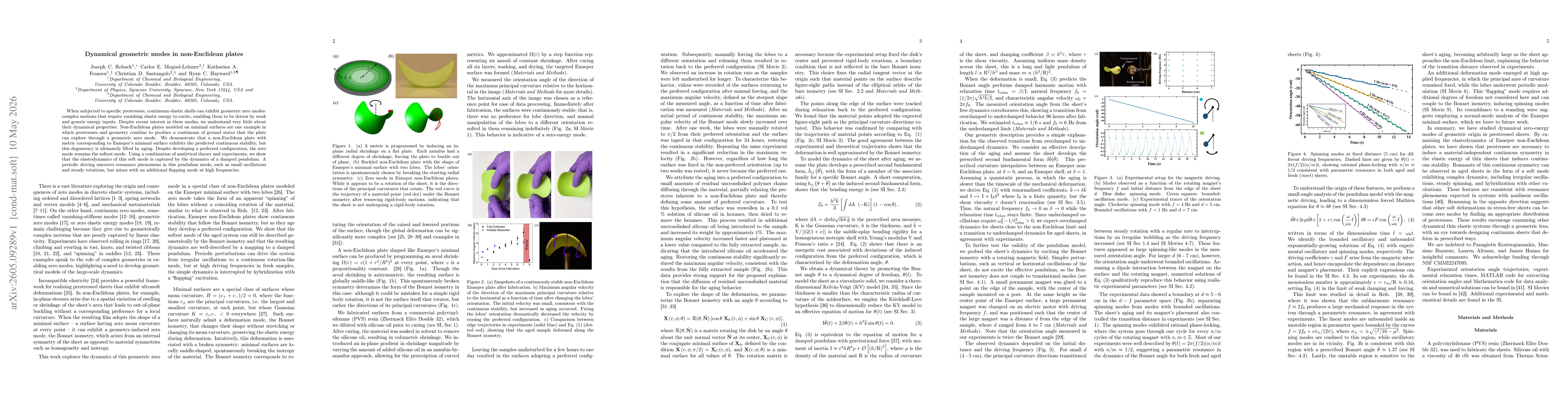 Thumbnail for Dynamical geometric modes in non-Euclidean plates
