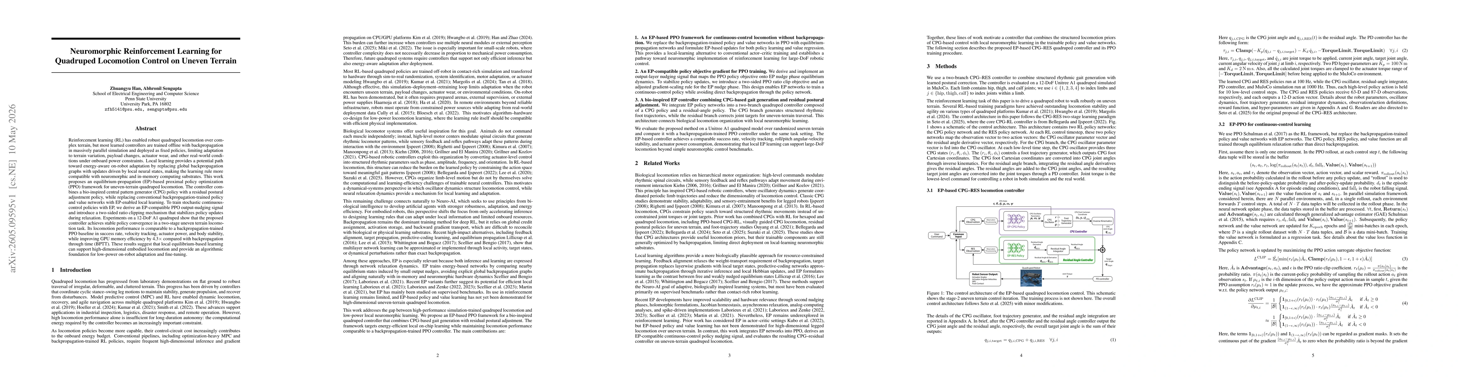 Thumbnail for Neuromorphic Reinforcement Learning for Quadruped Locomotion Control on Uneven Terrain