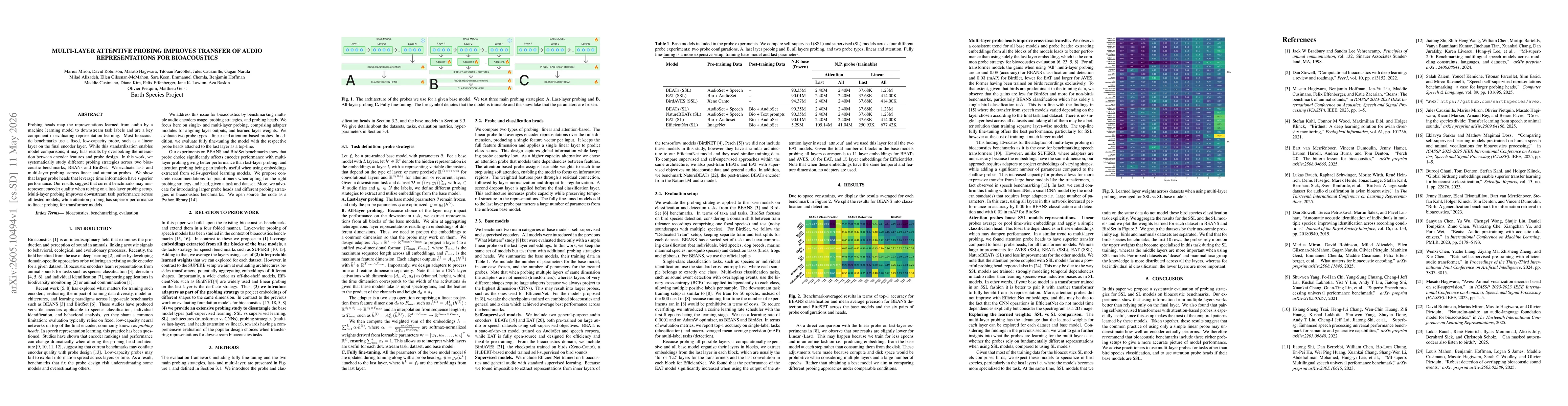Thumbnail for Multi-layer attentive probing improves transfer of audio representations for bioacoustics
