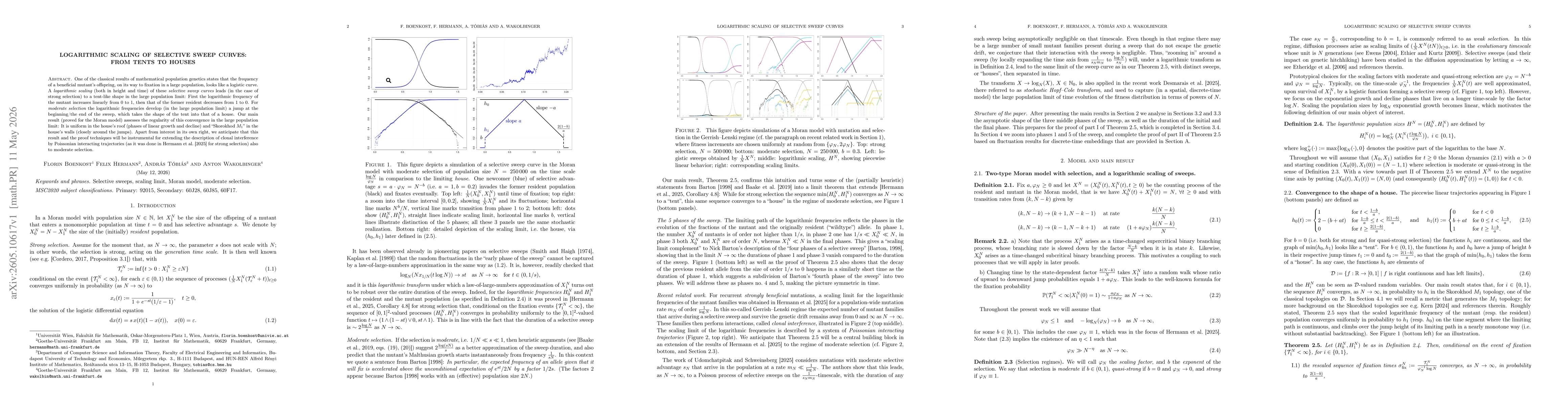 Thumbnail for Logarithmic scaling of selective sweep curves: from tents to houses