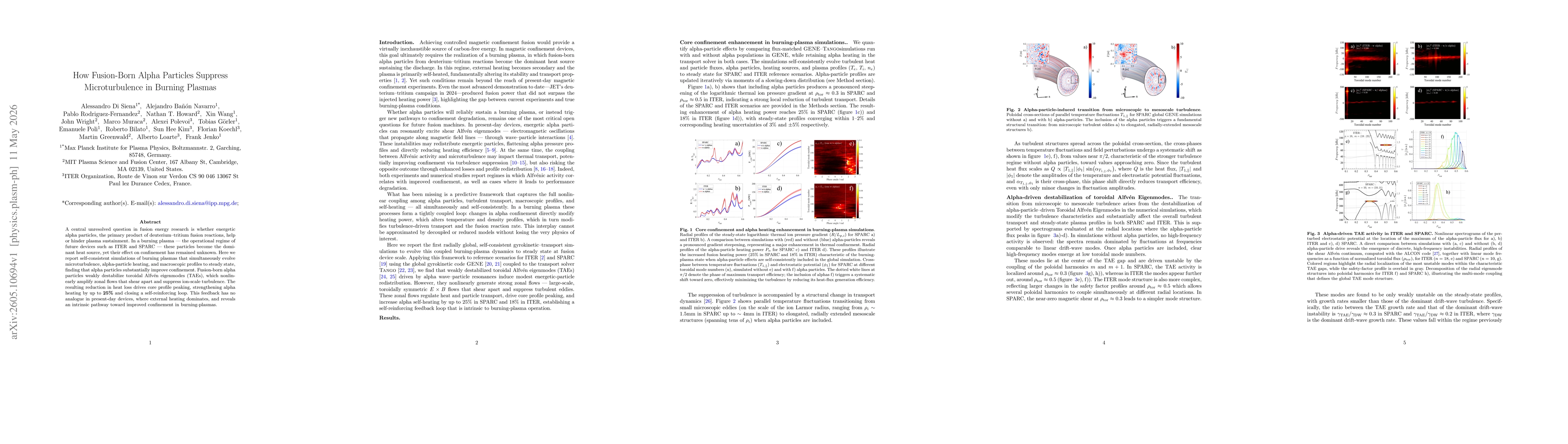 Thumbnail for How Fusion-Born Alpha Particles Suppress Microturbulence in Burning Plasmas