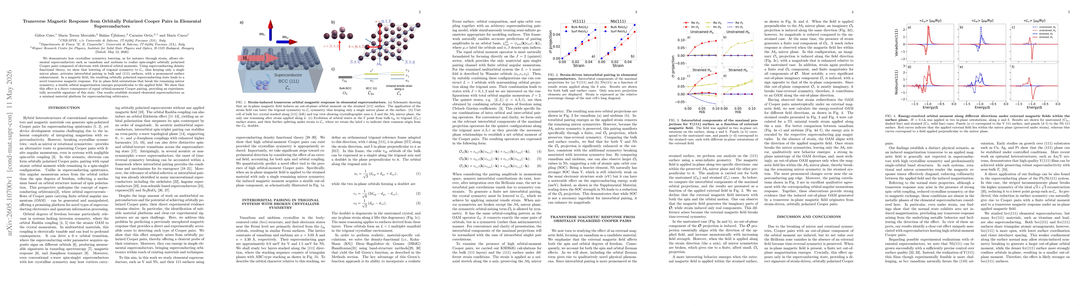 Thumbnail for Transverse Magnetic Response from Orbitally Polarized Cooper Pairs in Elemental Superconductors