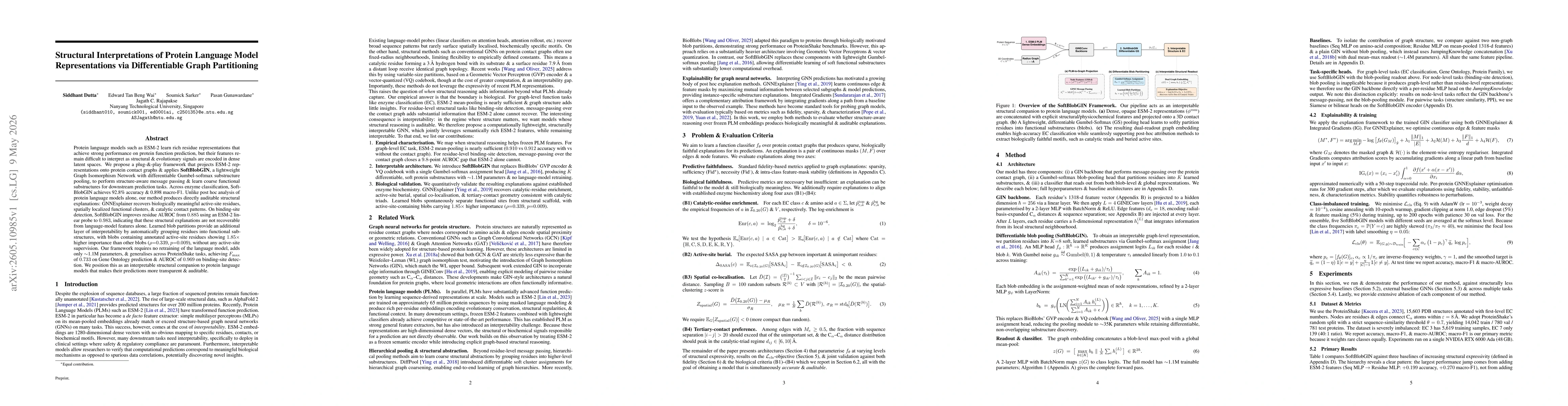 Thumbnail for Structural Interpretations of Protein Language Model Representations via Differentiable Graph Partitioning