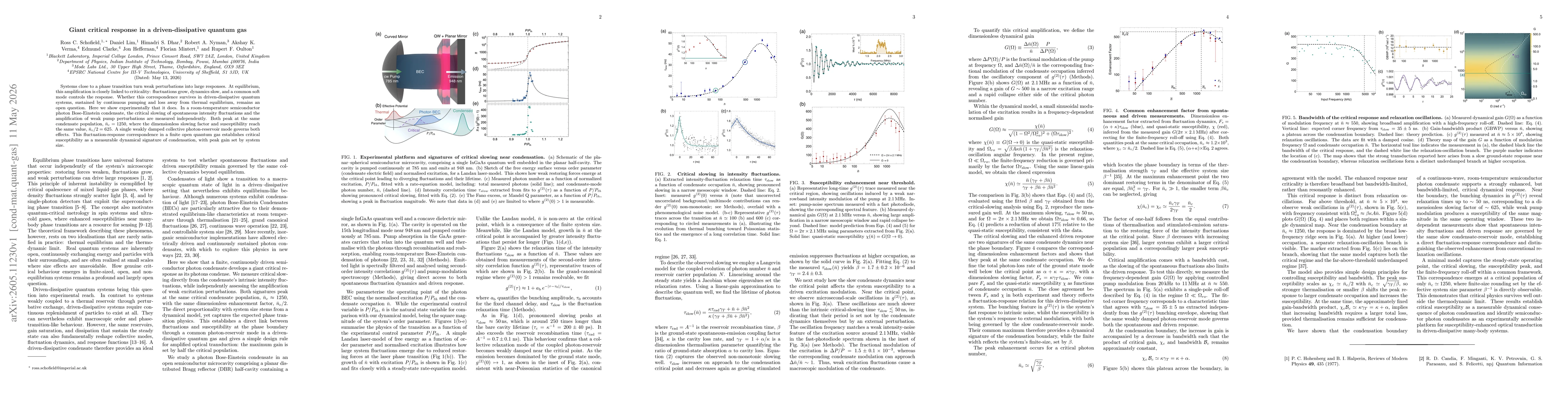 Thumbnail for Giant critical response in a driven-dissipative quantum gas