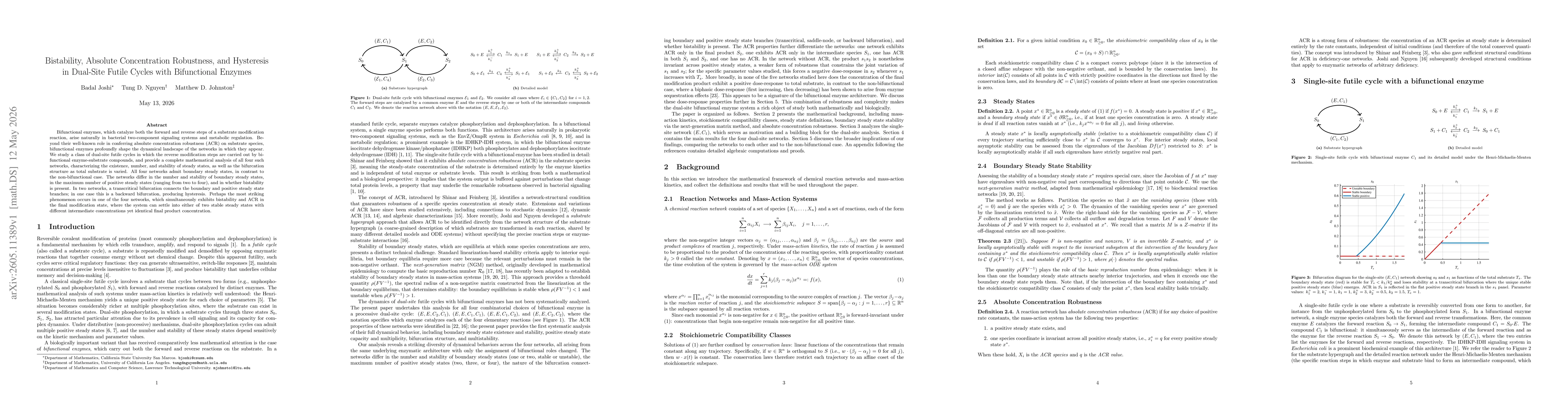 Thumbnail for Bistability, Absolute Concentration Robustness, and Hysteresis in Dual-Site Futile Cycles with Bifunctional Enzymes