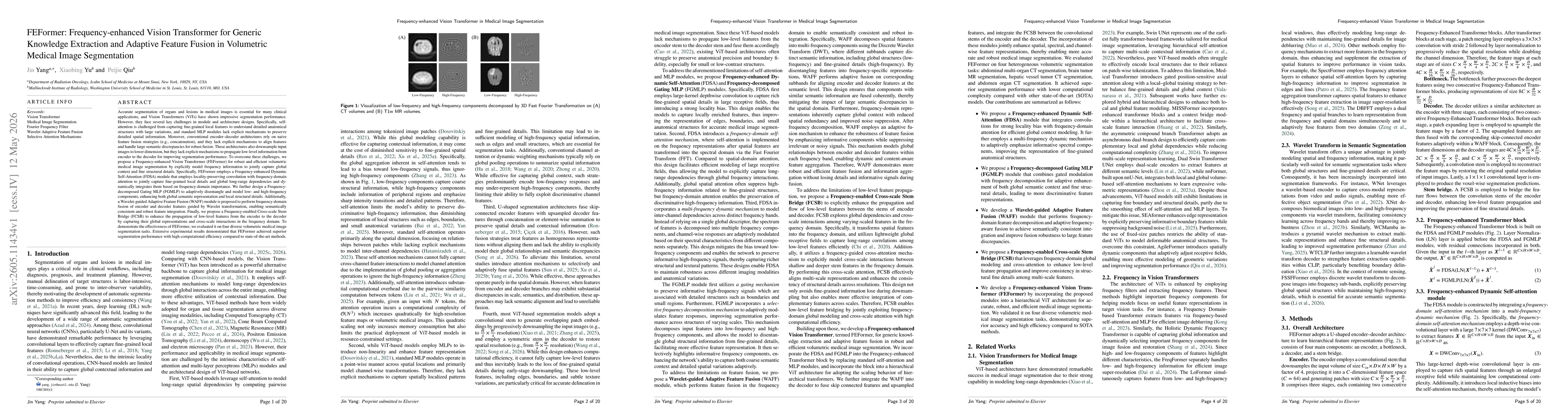 Thumbnail for FEFormer: Frequency-enhanced Vision Transformer for Generic Knowledge Extraction and Adaptive Feature Fusion in Volumetric Medical Image Segmentation