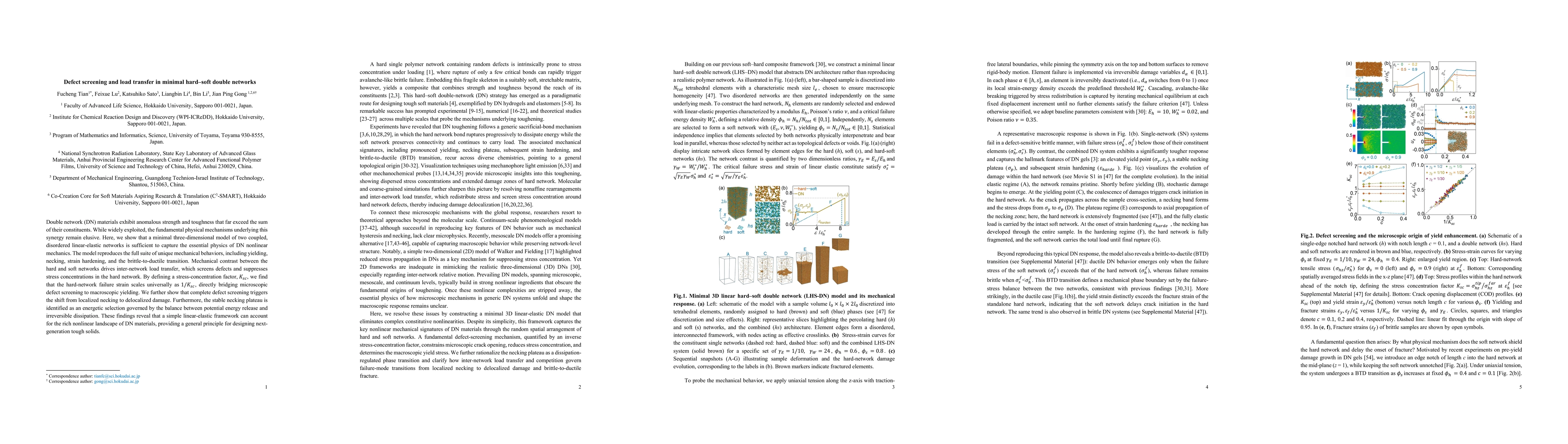 Thumbnail for Defect screening and load transfer in minimal hard-soft double networks