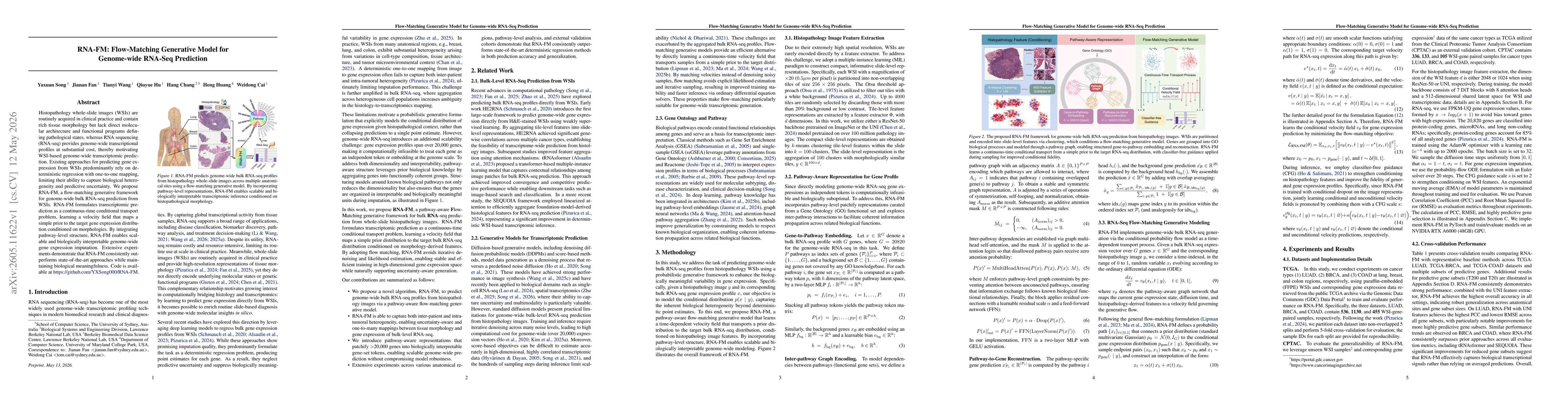 Thumbnail for RNA-FM: Flow-Matching Generative Model for Genome-wide RNA-Seq Prediction