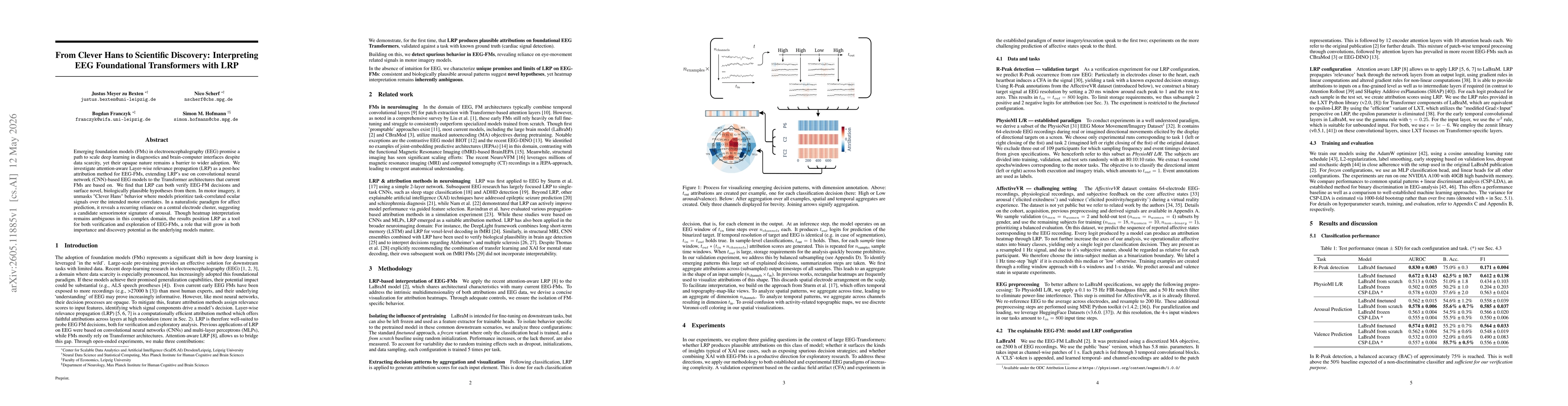 Thumbnail for From Clever Hans to Scientific Discovery: Interpreting EEG Foundational Transformers with LRP