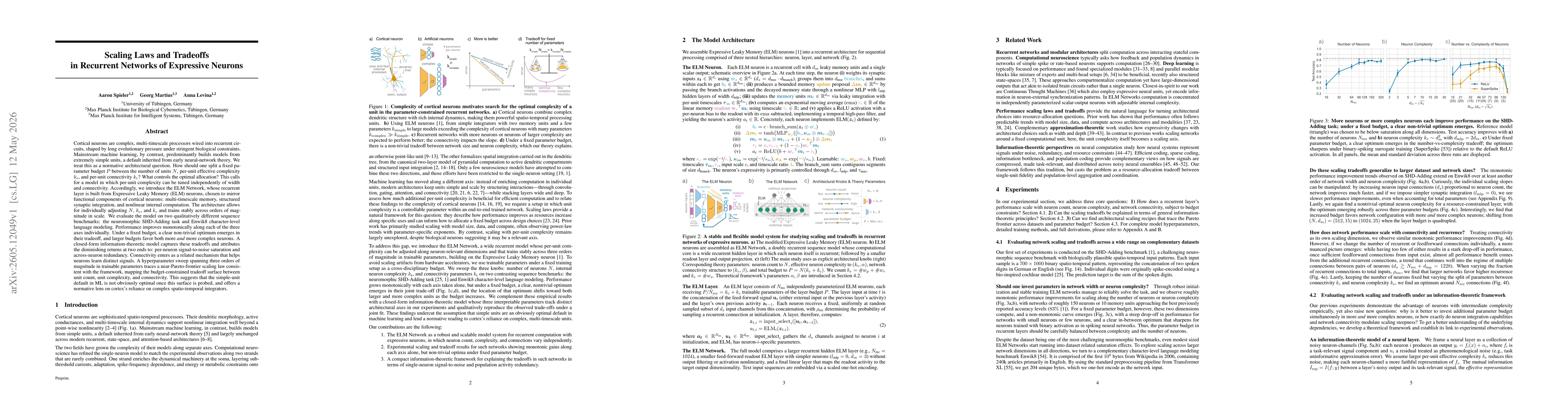 Thumbnail for Scaling Laws and Tradeoffs in Recurrent Networks of Expressive Neurons