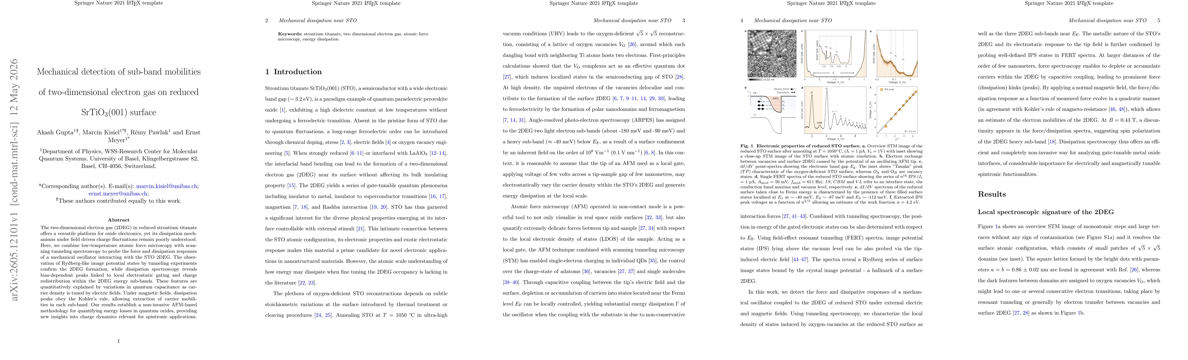 Thumbnail for Mechanical detection of sub-band mobilities of two-dimensional electron gas on reduced SrTiO$_3$(001) surface