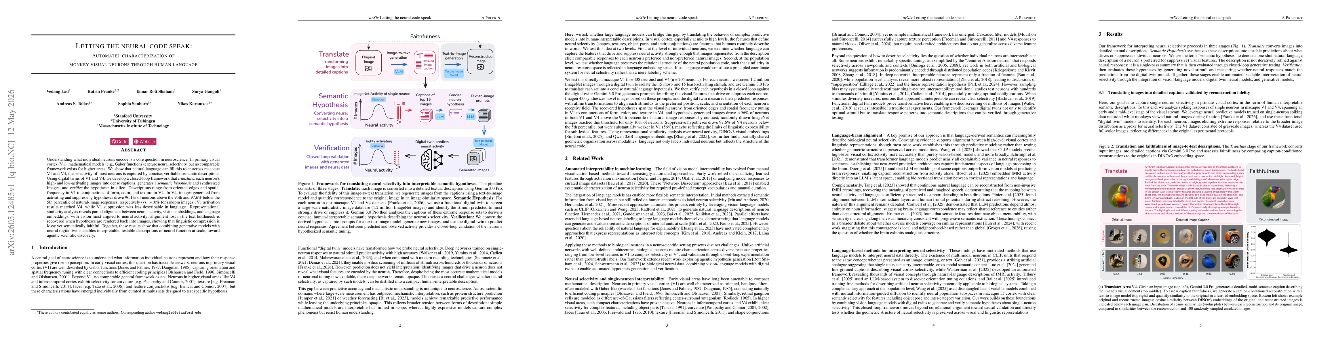 Thumbnail for Letting the neural code speak: Automated characterization of monkey visual neurons through human language