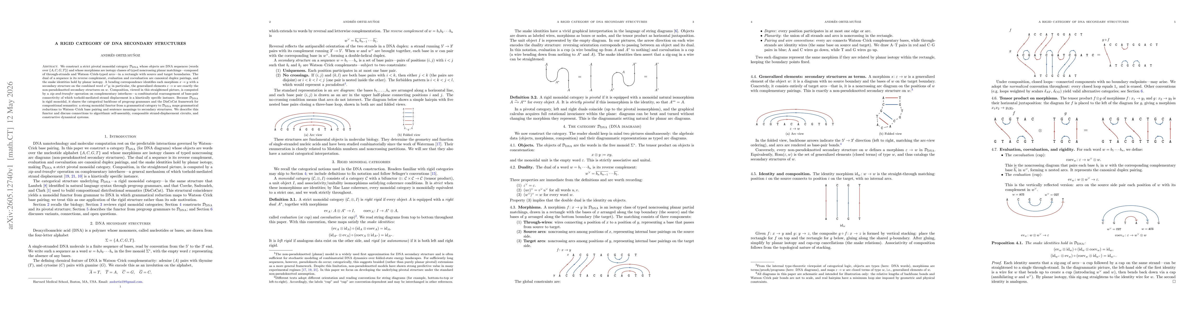 Thumbnail for A Rigid Category of DNA Secondary Structures