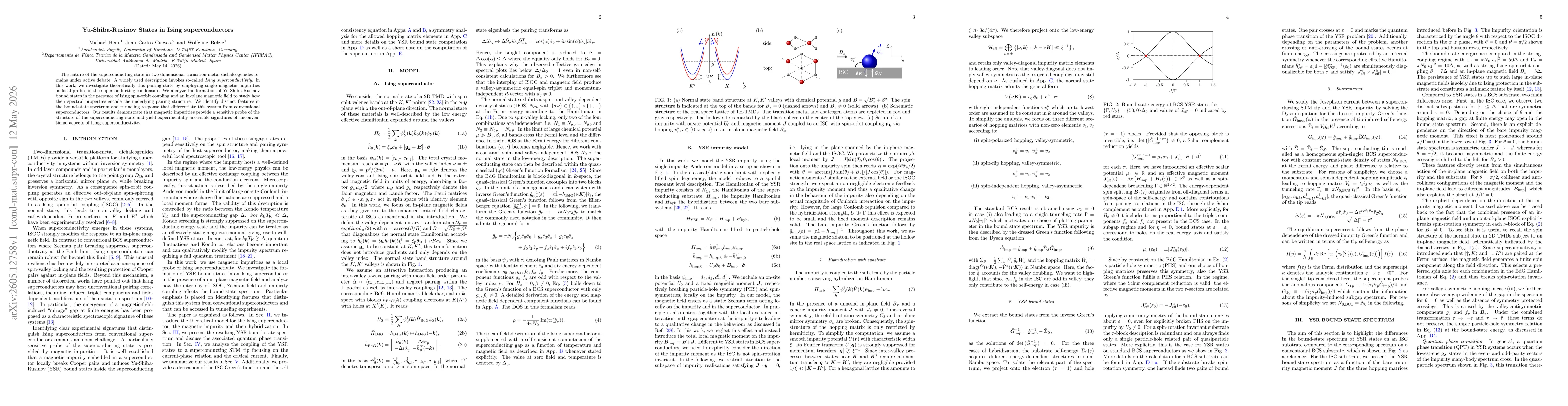 Thumbnail for Yu-Shiba-Rusinov States in Ising Superconductors