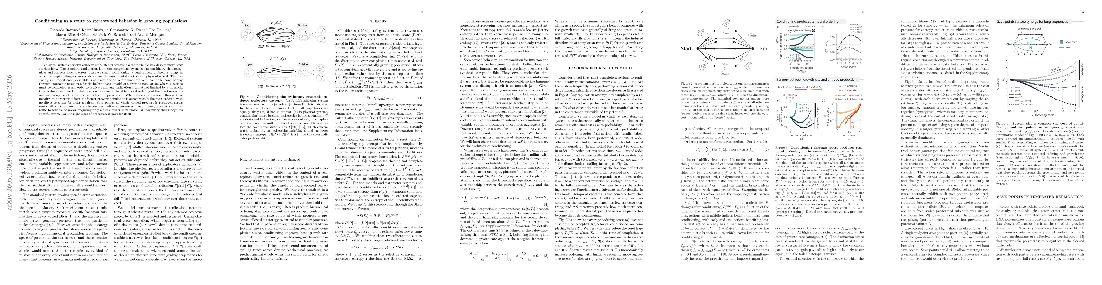 Thumbnail for Conditioning as a route to stereotyped behavior in growing populations