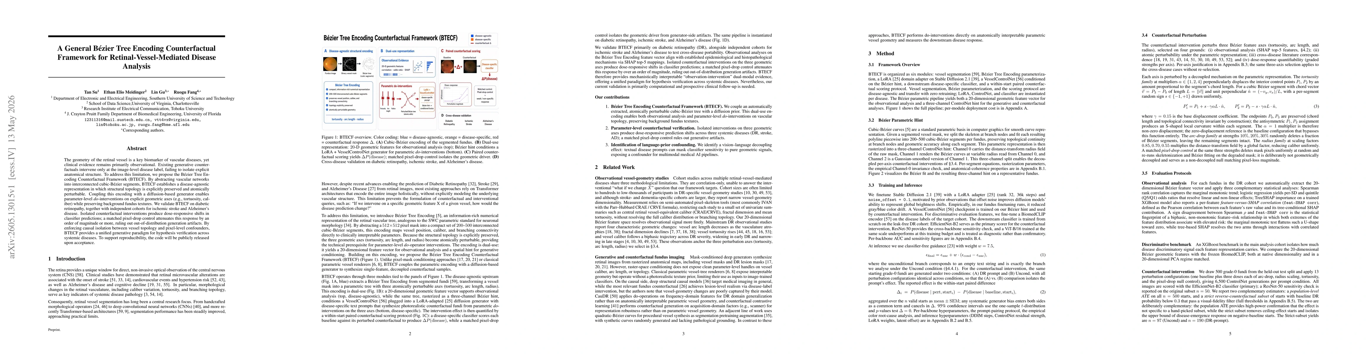 Thumbnail for A General Bézier Tree Encoding Counterfactual Framework for Retinal-Vessel-Mediated Disease Analysis