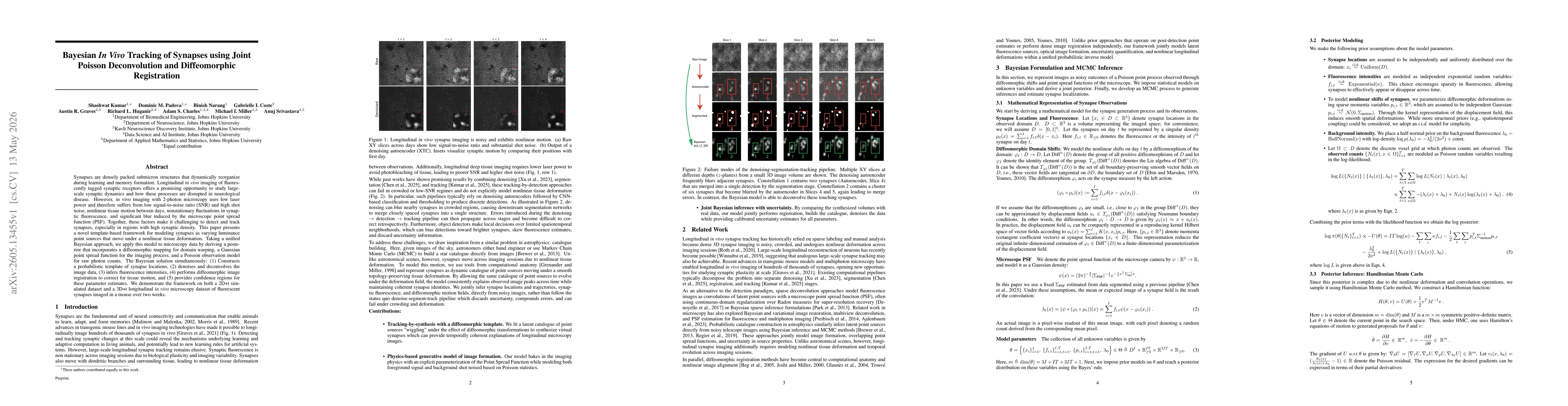 Thumbnail for Bayesian In Vivo Tracking of Synapses using Joint Poisson Deconvolution and Diffeomorphic Registration