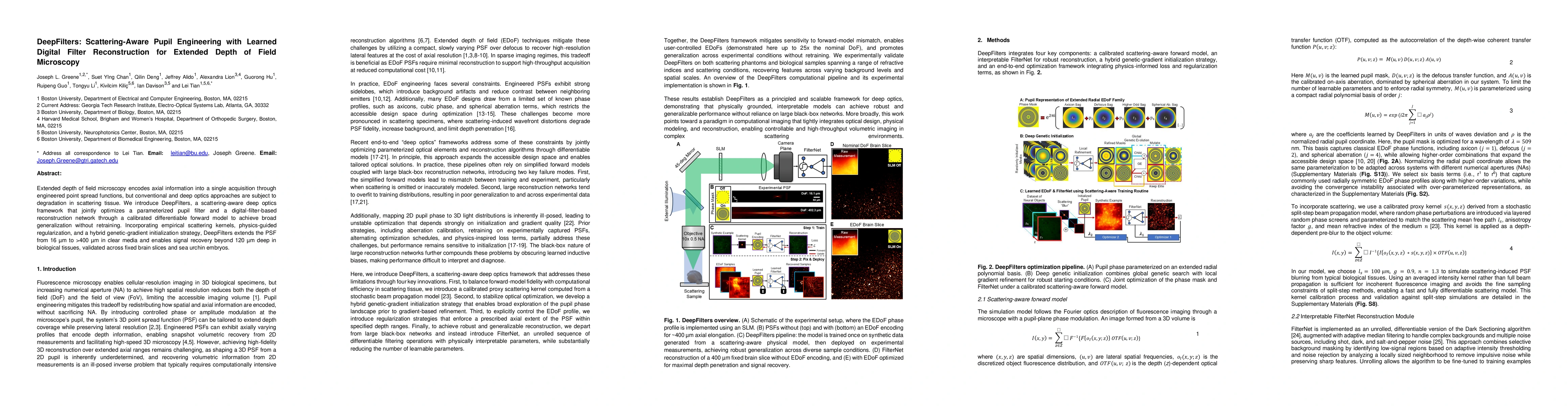 Thumbnail for DeepFilters: Scattering-Aware Pupil Engineering with Learned Digital Filter Reconstruction for Extended Depth of Field Microscopy