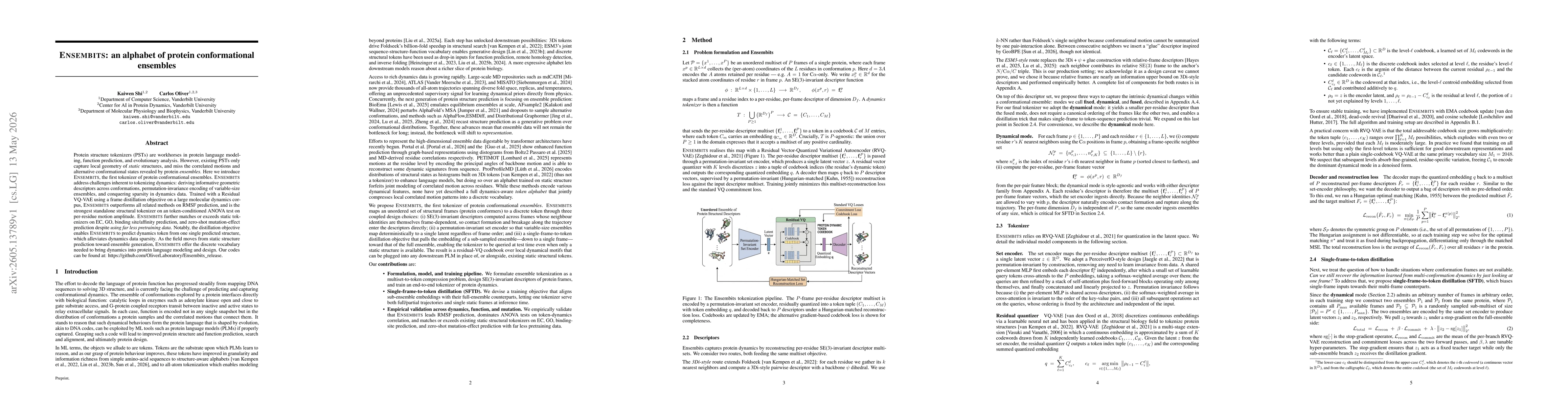 Thumbnail for ENSEMBITS: an alphabet of protein conformational ensembles