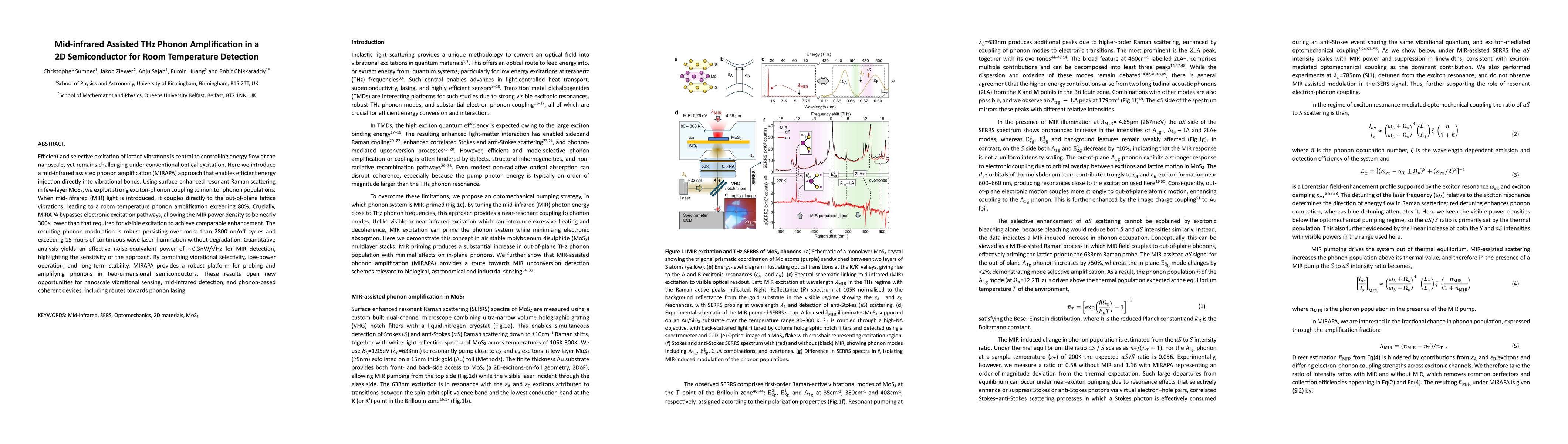 Thumbnail for Mid-infrared Assisted THz Phonon Amplification in a 2D Semiconductor for Room Temperature Detection