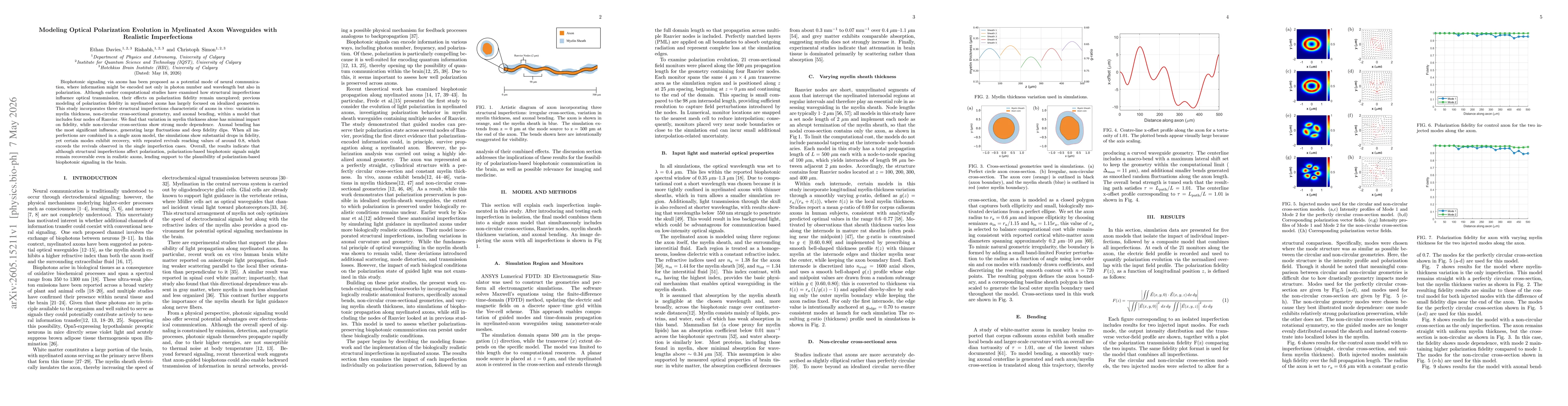 Thumbnail for Modeling Optical Polarization Evolution in Myelinated Axon Waveguides with Realistic Imperfections