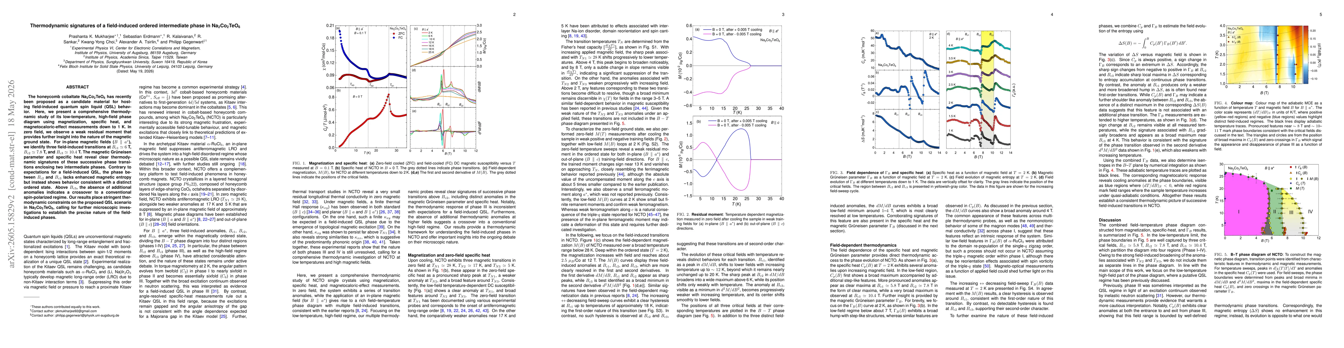 Thumbnail for Thermodynamic signatures of a field-induced ordered intermediate phase in Na$_2$Co$_2$TeO$_6$