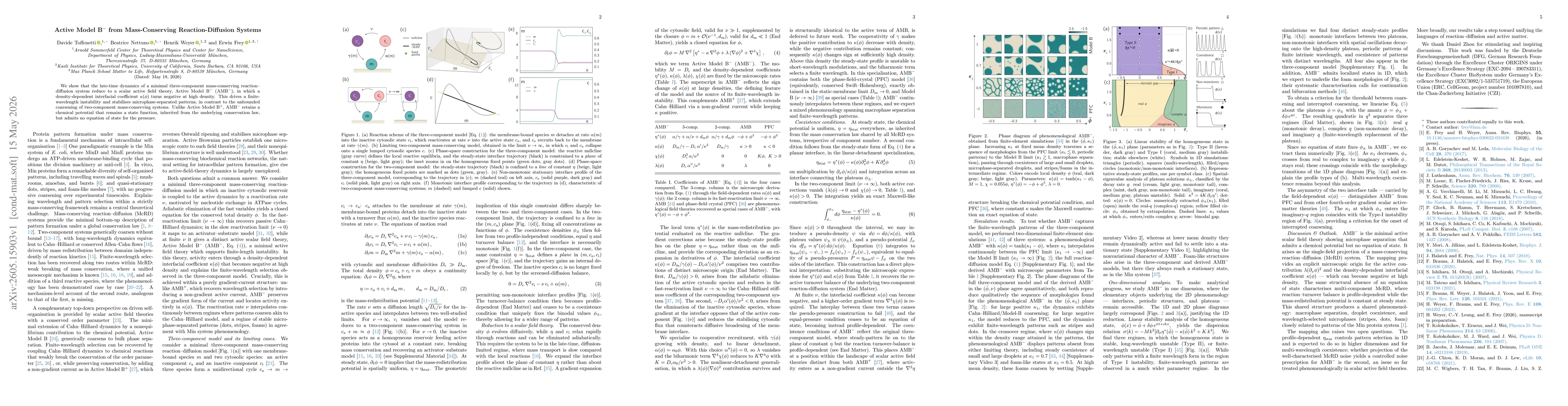 Thumbnail for Active Model B$^-$ from Mass-Conserving Reaction-Diffusion Systems