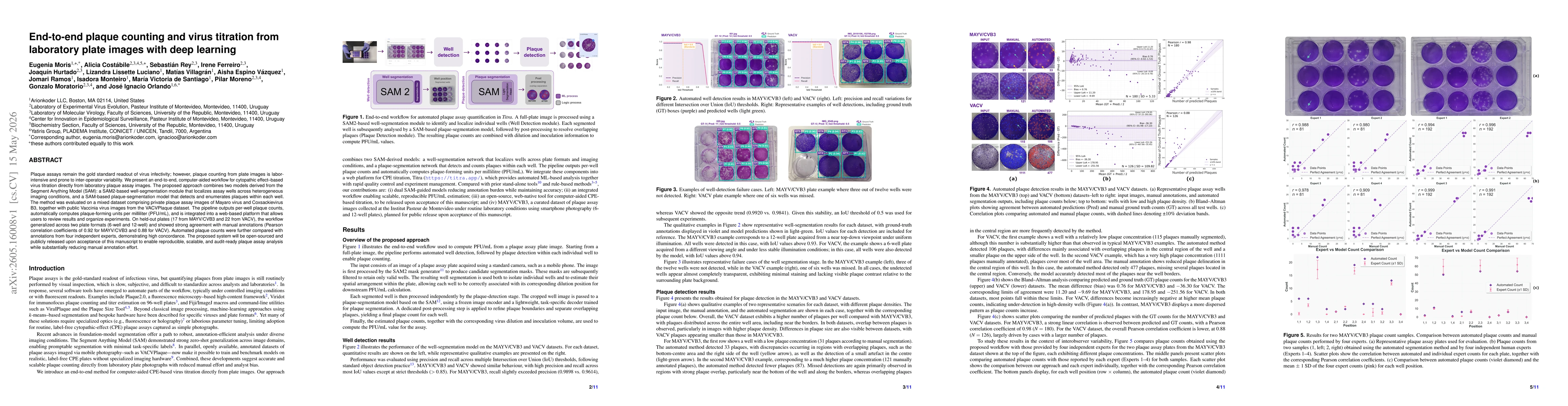 Thumbnail for End-to-end plaque counting and virus titration from laboratory plate images with deep learning