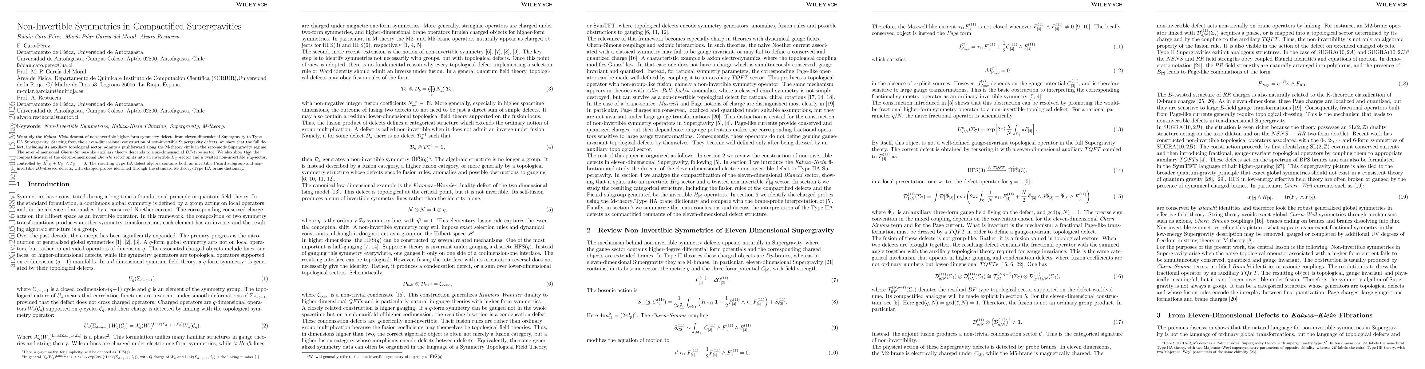 Thumbnail for Non-Invertible Symmetries in Compactified Supergravities
