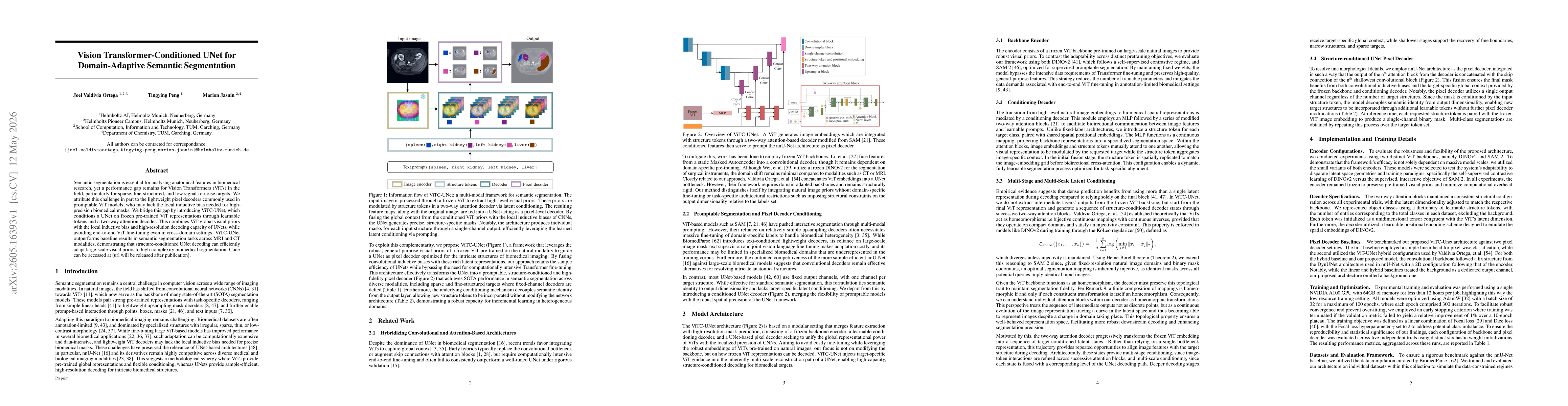 Thumbnail for Vision Transformer-Conditioned UNet for Domain-Adaptive Semantic Segmentation