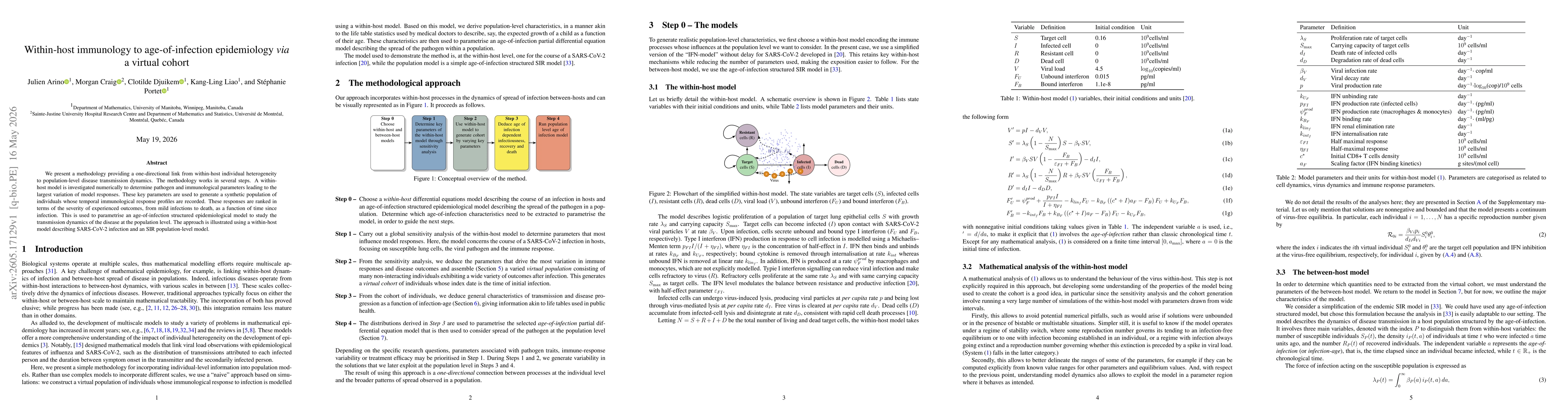 Thumbnail for Within-host immunology to age-of-infection epidemiology via a virtual cohort